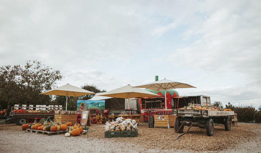 C'est l'automne et nos deux stands de vente sont toujours ouverts.